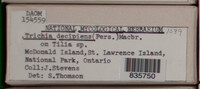 Image Associated With the Occurence